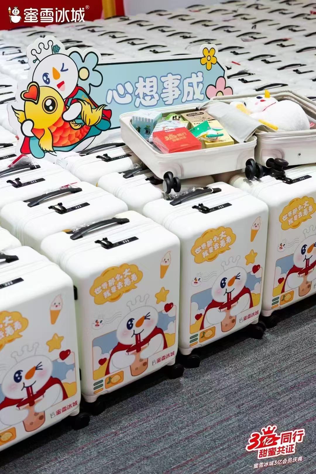 Customized PC Corporate Luggage